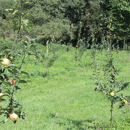 Pumarada De Oirín * Foz