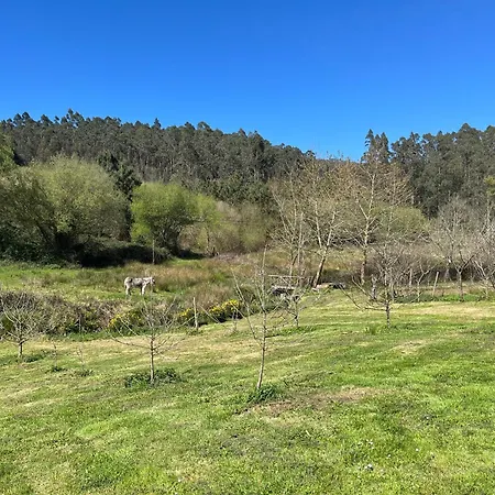 Pumarada De Oirín *