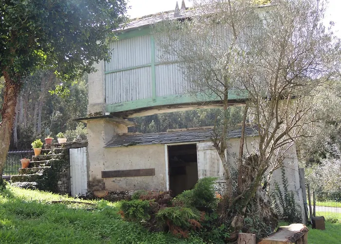 Pumarada De Oirin * Foz