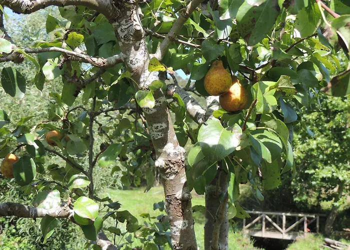 Pumarada De Oirin Ferienhaus